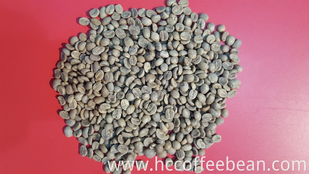 Chinese raw green coffee beans,100% arabica type, screen 15-16,coffee factory